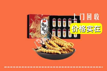 枣强县回收冬虫夏草