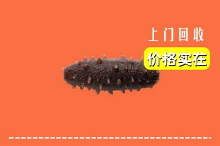 枣强县回收海参