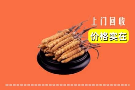 枣强县回收冬虫夏草